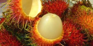 làm đẹp bằng chôm chôm 