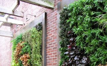 Các ý tưởng trồng cây thủy sinh độc đáo cho nhà và vườn