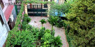 Nhà mang phong cách dân gian trong ngõ nhỏ Hà Nội