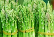 Hướng dẫn cách trồng măng tây cho năng suất cao 1