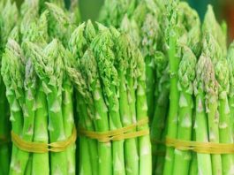 Hướng dẫn cách trồng măng tây cho năng suất cao 1