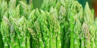 Hướng dẫn cách trồng măng tây cho năng suất cao 1