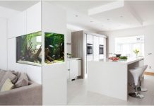 10 mẫu bể cá gia đình đẹp 