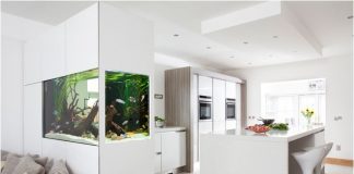 10 mẫu bể cá gia đình đẹp 