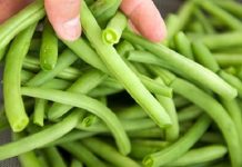 Giảm cân “ầm ầm” nhờ 5 món rau luộc thanh mát 5 loại rau luộc mùa đông giúp bạn giảm cân thần tốc