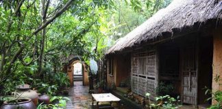 “Mướt mắt” với không gian sống đẹp như “thiên đường xanh” của sao Việt