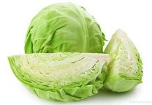 Trồng bắp cải: Khi tình yêu cuộn tròn trong lá