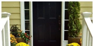 Mùa thu dịu ngọt bên thềm nhà 2