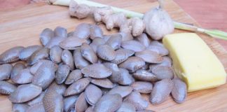 ngao-hoa-xao-bo-toi 2