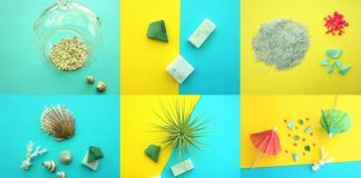 Hướng dẫn tự làm bình cảnh mini theo phong cách nhiệt đới 1