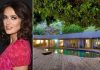 Căn nhà gỗ “mơ màng” của Salma Hayek trên đồi Hollywood