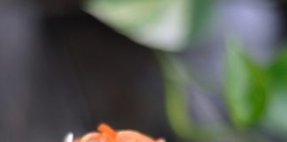 Nộm dưa chuột nấm kim châm đổi bữa cho bữa sáng