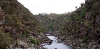 Cataract Gorge thanh binh