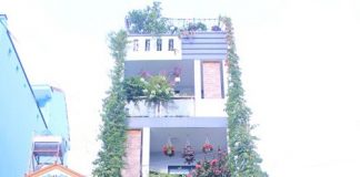 Ấn tượng với ngôi nhà 4 tầng hoa nở khắp ban công, rau trái đầy sân thượng