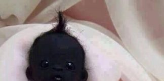 LiveLeak-dot-com-f86_1433930331-10156131_676479819151890_737576526482784_1433930348.jpg.resized