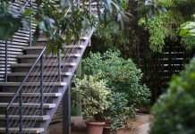 Khám phá nghệ thuật trồng cây cảnh trong chậu nhỏ