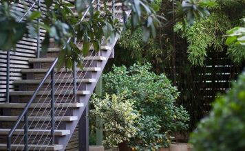 Khám phá nghệ thuật trồng cây cảnh trong chậu nhỏ