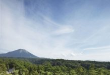 Độc đáo dinh thự hình zíc zắc giữa rừng xanh tại Nhật Bản