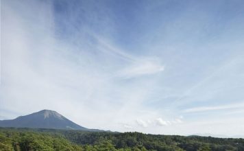 Độc đáo dinh thự hình zíc zắc giữa rừng xanh tại Nhật Bản