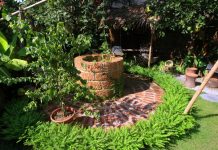 Kiến trúc sư tư vấn đặt giếng đúng phong thủy cho nhà vườn Kiến trúc sư tư vấn đặt giếng đúng phong thủy cho nhà vườn