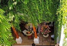 Thiết kế bể bơi mini cho mùa hè thêm mát mẻ 1