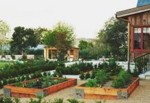 10 lỗi thường gặp khi trang trí sân sau nhà 1