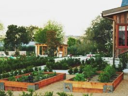 10 lỗi thường gặp khi trang trí sân sau nhà 1