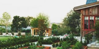 10 lỗi thường gặp khi trang trí sân sau nhà 1