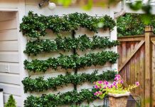 Mẹo trang trí sân vườn đẹp mà tiết kiệm 1