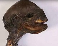 Phát hiện xác ướp chú chó 12.000 năm tuổi vẫn còn nguyên nội tạng
