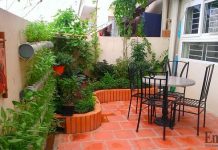 Ban công 8m2 đủ rau ăn quanh năm cho cả nhà