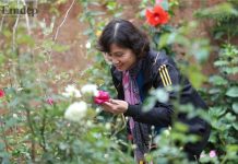 Kinh nghiệm trồng hồng cho người mới bắt đầu