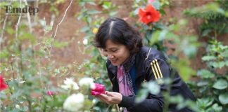 Kinh nghiệm trồng hồng cho người mới bắt đầu