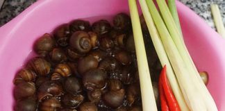 Ốc xào sả ớt giòn giòn hấp dẫn - 1