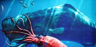 Lý giải về các "quái vật" huyền thoại