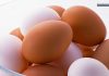 Trứng gà vỏ đỏ hay vỏ trắng tốt hơn