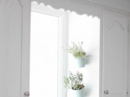 11 ý tưởng trồng cây thảo mộc trong nhà