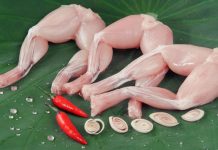 Lạ miệng với món ếch xào bông hẹ sa tế