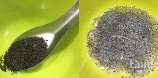 Chè xoài hạt é - món chè ngon bổ dưỡng 