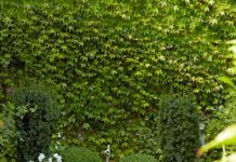 6 cách để “thổi hồn” cho không gian chật hẹp của nhà bạn