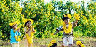 Đi du lịch Đà Lạt thời điểm nào thích hợp nhất 1