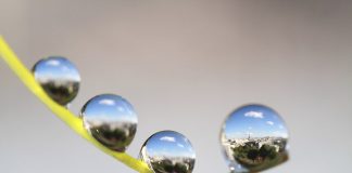 Nước mắt cho Paris - Bộ ảnh nhắc nhở về một Paris kiên cường 1