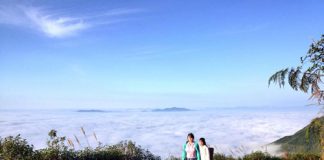 tet-duong-san-may-ta-xua-ngam-cai-moc-chau