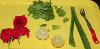 Tự chế xịt khoáng cho da dầu chỉ trong 30 phút