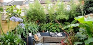 10 thiết kế đẹp cho sân sau và diện tích trống nhỏ hẹp