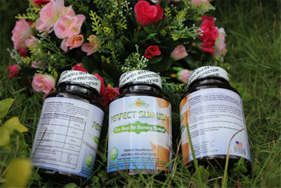 pwJsGL_7265_chamecuacon