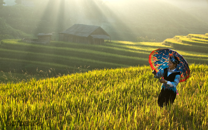 7 thiên đường “khó tin nhưng có thật” ở Việt Nam
