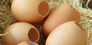 làm đẹp bằng vỏ trứng 