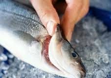 Cách chọn cá tươi siêu đơn giản bằng mắt thường