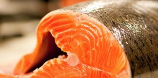 cá biển, DHA, thông minh